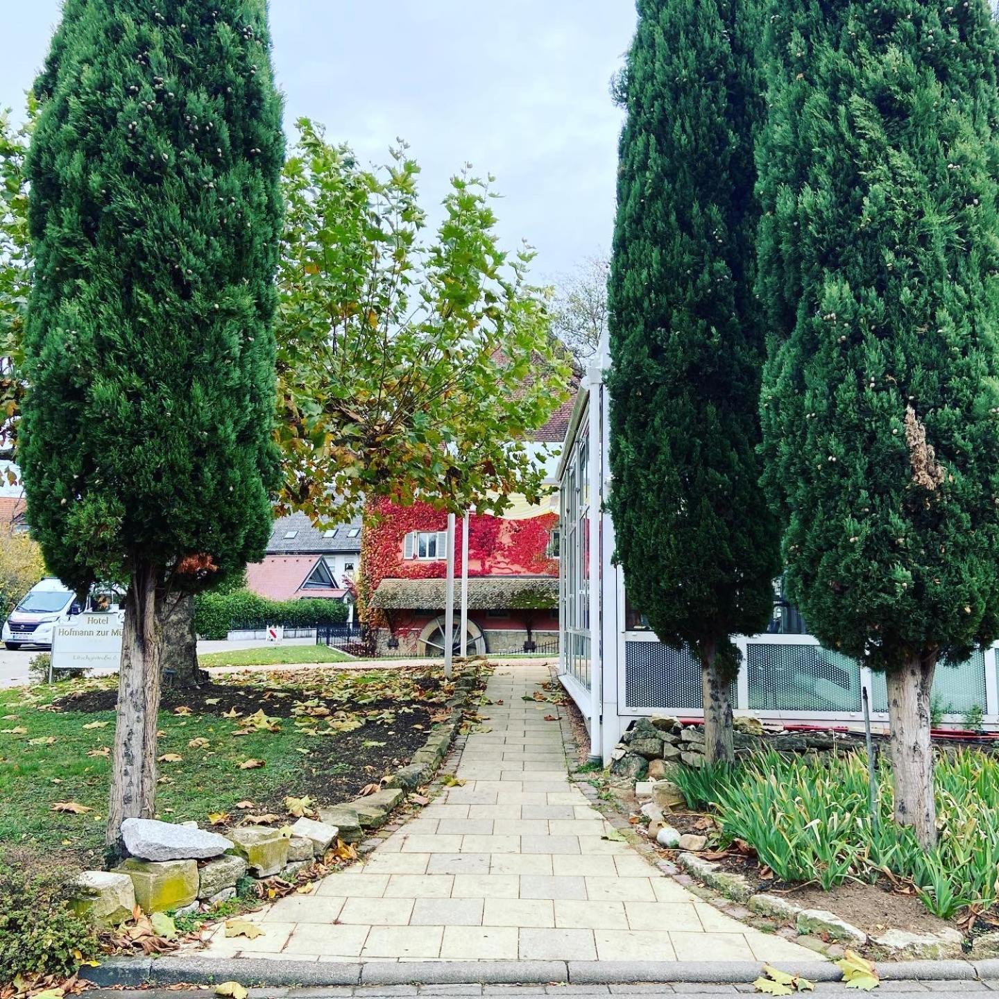 Hotel Hofmann Zur Muehle Bad Krozingen Buitenkant foto