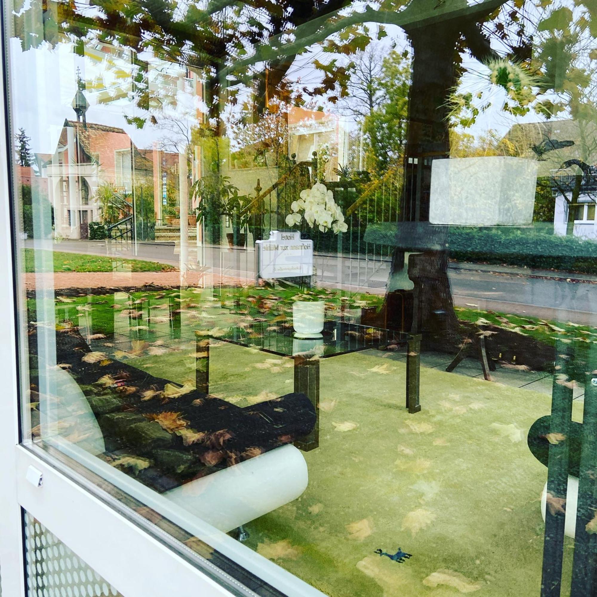 Hotel Hofmann Zur Muehle Bad Krozingen Buitenkant foto